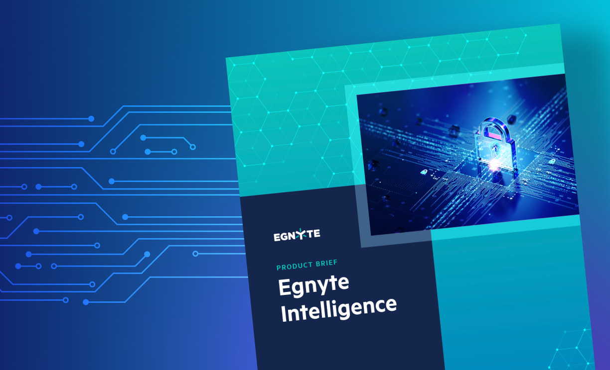 Egnyte Intelligence Product Brief