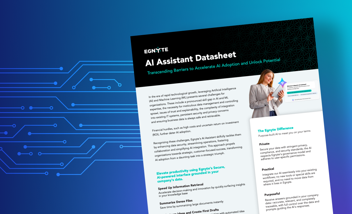 Egnyte AI Assistant Datasheet