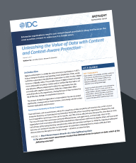 Unleashing the Value of Data with Content and Context-Aware Protection